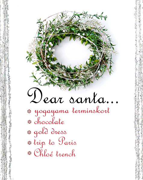 Dear santa