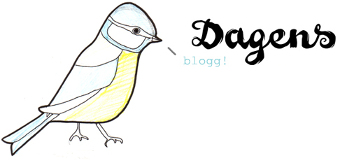 Dagens blogg!